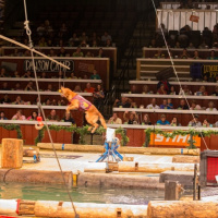 Around the World: Lumberjack Interview