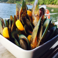 A tour of Marlborough Sounds NZ