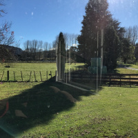 Acacia Bay House Sitting Adventure