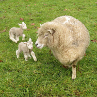 An interview with Gilson Sharp