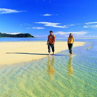 Saving Abel Tasman National Park