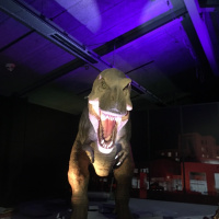 The Dinosaurs Storm Te Manawa Art, Science  History Museum