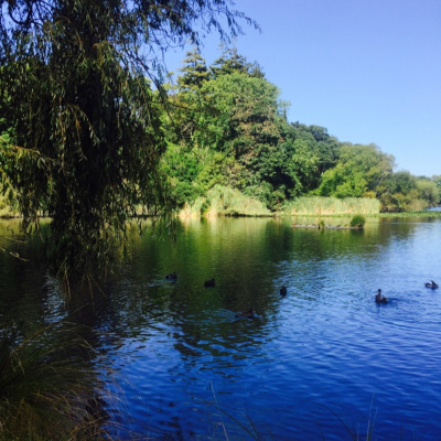 International Connection Radios Tracks