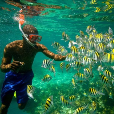 International Connection Radios Tracks