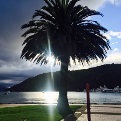 International Connection Radios Tracks