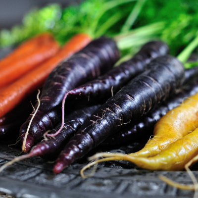 International Connection Radios Tracks