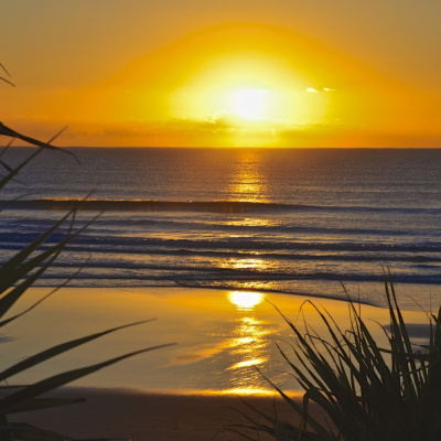 International Connection Radios Tracks