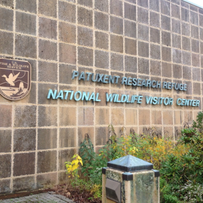 International Connection Radios Tracks