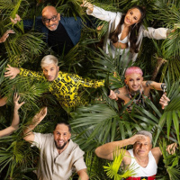 Trash-TV-Highlight Dschungelcamp und Quotenwunder Phoenix