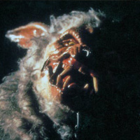 Howling 7: New Moon Rising (1995)