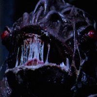 Shocking Dark (1989)