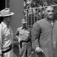 Creature Walks Among Us (1956)