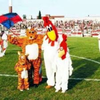 Ultimo Programa del 2017