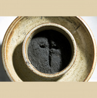 Sermon given at the Sung Eucharist on Ash Wednesday - 2016
