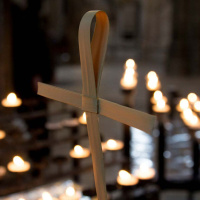 Lent and Easter reflections 2024: Palm Sunday