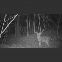 EP. 322: Hunting On A Sick Day | Full Draw 4 Times 