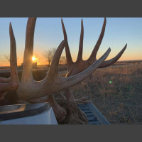 EP.444: 10 Harsh Truths Of Bowhunting 