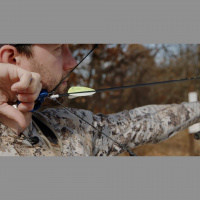 EP. 255: Hunting Buck Beds  Botched Shots
