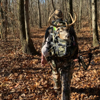 EP. 311: Two Tags Filled And Three Arrows