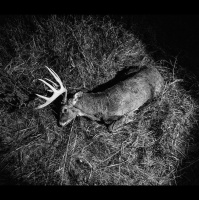 EP.452: Finding Gratitude In The Grind | Chasing Mature Bucks | Jacob Sklenar