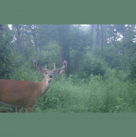 EP. 294: Duplicating Mature Buck Success | Patterning Dates Not Bucks