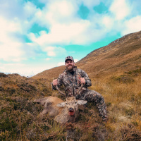 EP. 278: Scrape Trends  Scotland Stags