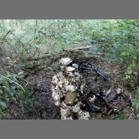 EP. 344: Early Season Deer Hunting Tactics  Gear In Your Bag