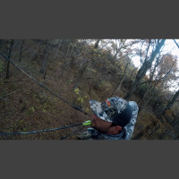 EP. 251: Hunting Early Season, Scrapes,  Phases of The Rut