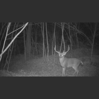 Truth From The Stand Deer Hunting Podcast