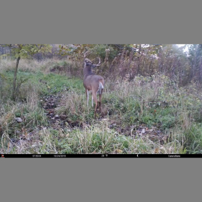 Truth From The Stand Deer Hunting Podcast