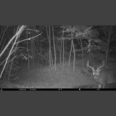 Truth From The Stand Deer Hunting Podcast