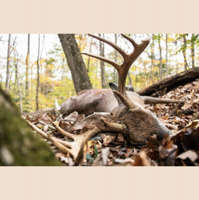 Truth From The Stand Deer Hunting Podcast