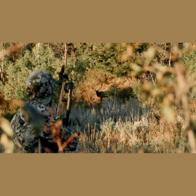 Truth From The Stand Deer Hunting Podcast