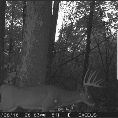 Truth From The Stand Deer Hunting Podcast