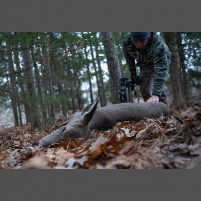 Truth From The Stand Deer Hunting Podcast