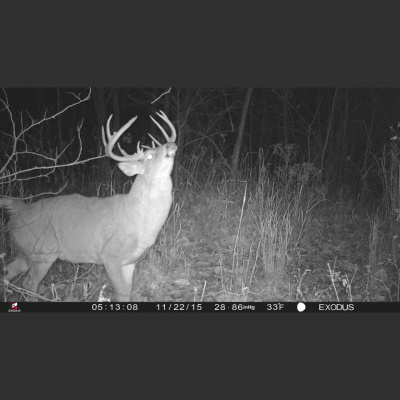 Truth From The Stand Deer Hunting Podcast