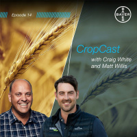 CropCast Episode 14 November 2020