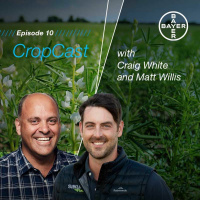 Bayer CropCast Episode 10 - December 2019