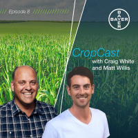 Bayer CropCast Episode 8- August 2019