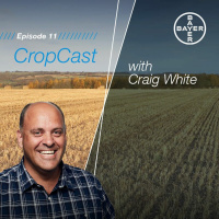 Bayer CropCast Episode 11 - March 2020