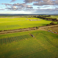 Bayer CropCast NSW, VIC, SA - Episode 1 - September 2018