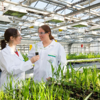 Cultivate On Air - High Hopes For New Herbicide Options