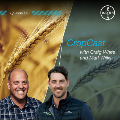 Bayer Crop Cast