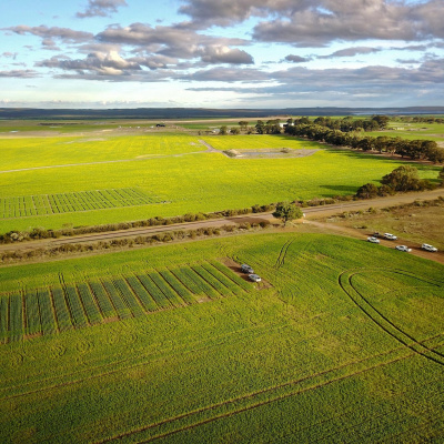 Bayer Crop Cast