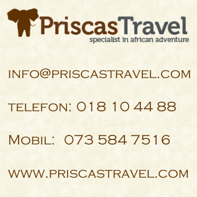 Res Med Priscas Travel