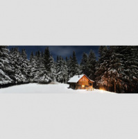 Трамп выучит русский язык, подарит Путину собаку, а России — Аляску