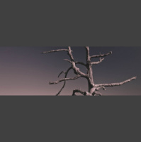 17 августа объявят Днём кризиса и выходным днём