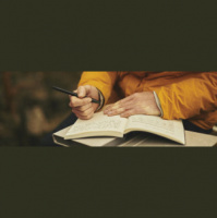 Правительство РФ проведёт 1 сентября ротацию учителей и силовиков