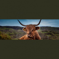 Бывший кремлёвский чиновник Сергей Иванов трудоустроился в калифорнийский зоопарк