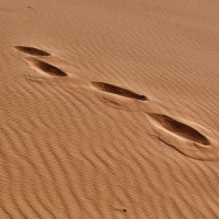 Can You Dig It: Archaeology and Espionage